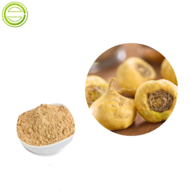 Hot Sale 100% Natural Maca Root Extract 10:1 Maca Extract Powder