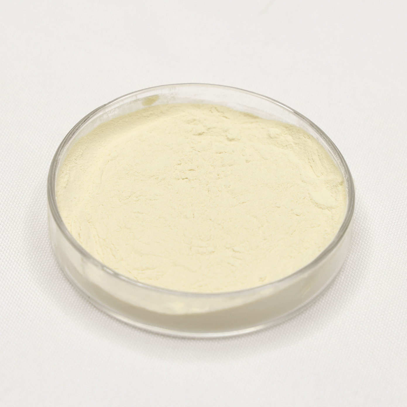 High Quality Type II Collagen Peptide Powder