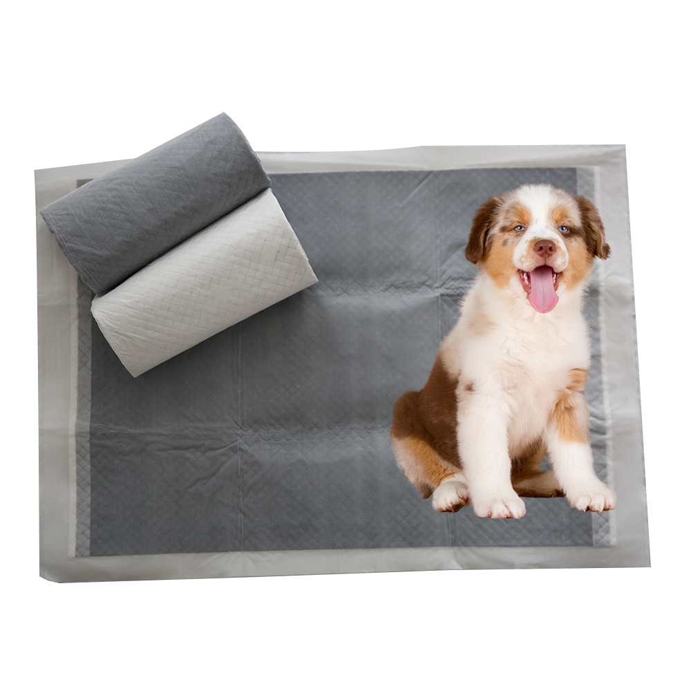 Pet Care Select Pee Toilet 100 Pack Absorbent basics Cheap Sanitary Paw Buy Pet Dog Training And Puppy Pads