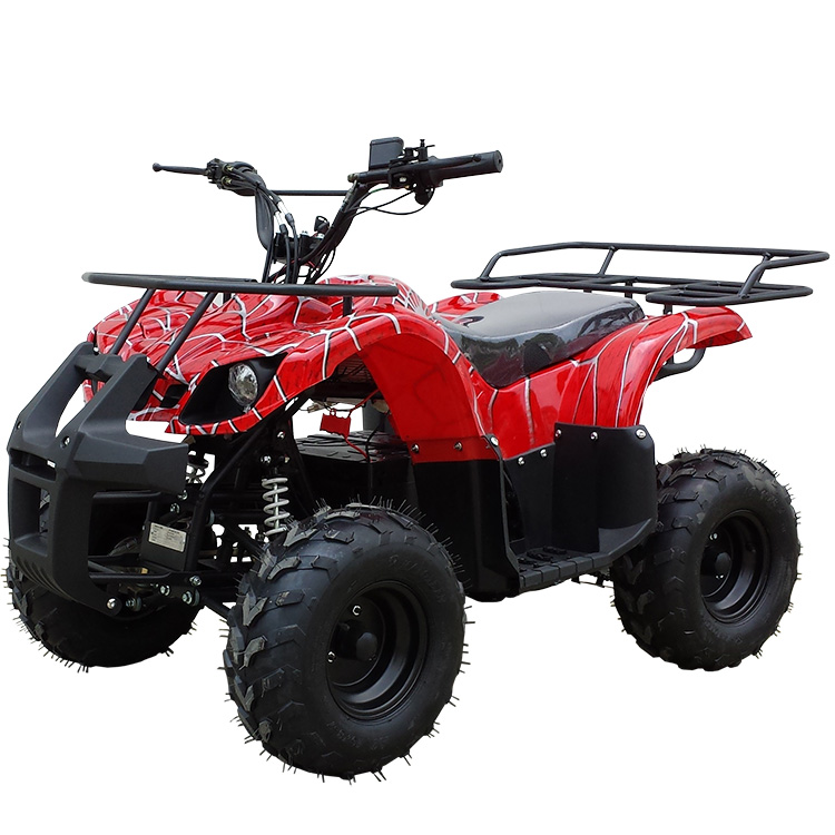 Высокое качество в виде головы 48v1000w 4-х колесный Электрический Quad