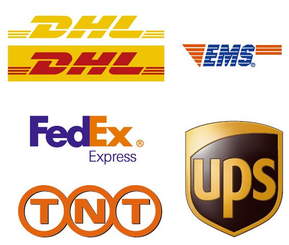 Служба доставки «от двери до двери» FEDEX TNT DHL курьерская воздушная перевозка груза Китай в США и Канаду