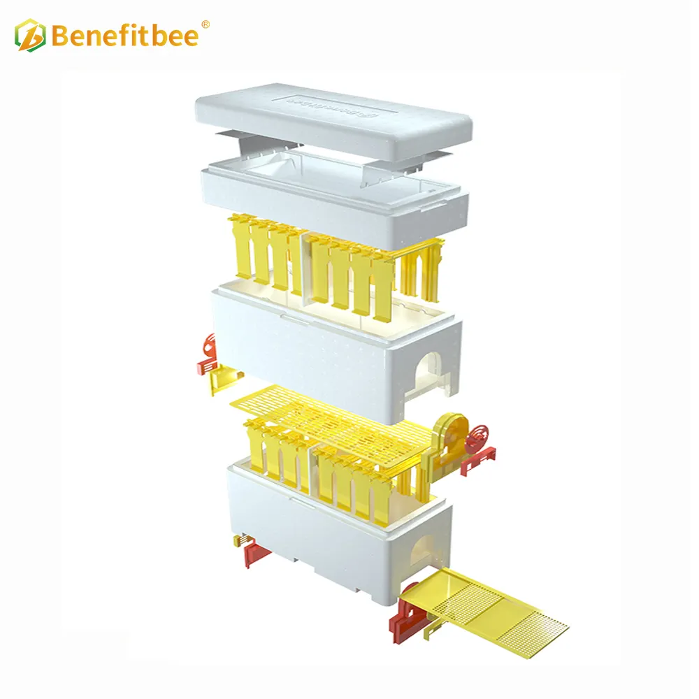 Benefitbee own design plastic Beehive Queen Bee Mating box Foam Bee Hive mini beehive box