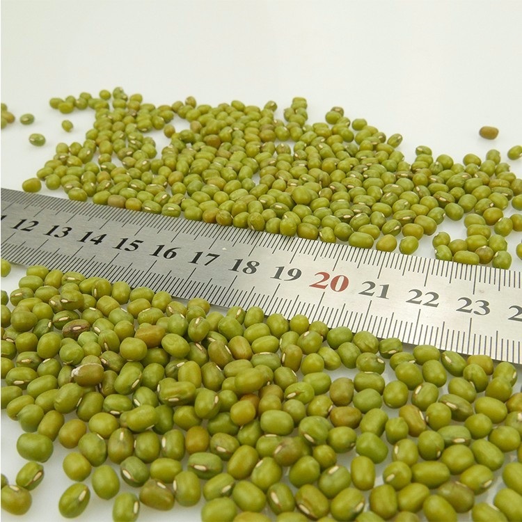 Export Green Mung Beans Whole Beans