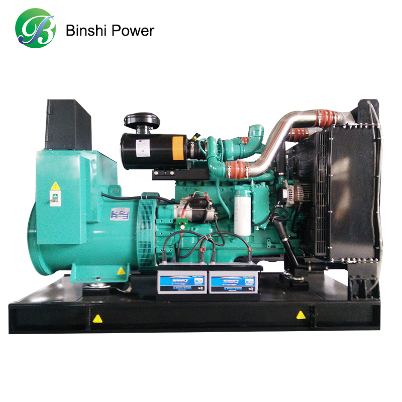 100kw 200kw Silent комбинированного производства компании "Biogas" CHP генератор 1000kw СПГ метана биомассы био Газовый Генератор