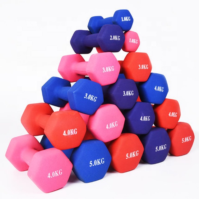 Hot sale Vinyl Coated Dumbbell Weight dipping iron Dumbbell Buy Online