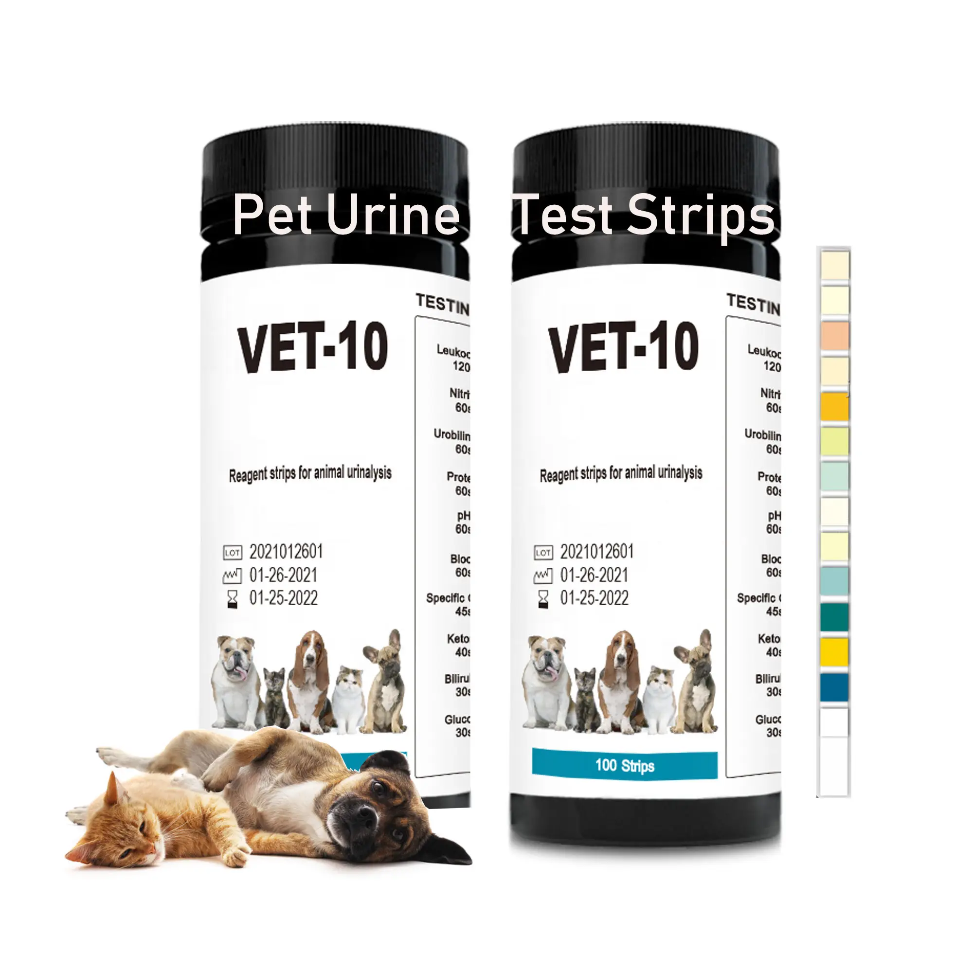 10 in 1 Vet Urine test strips 100PCS urine calcium test strips urine analysis test strip for dog and cat
