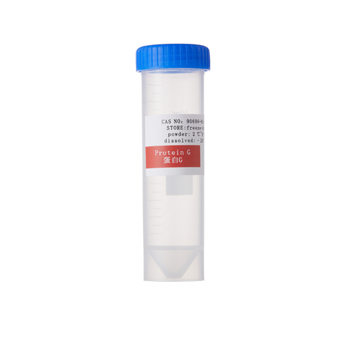 Recombinant Protein G High Purity Reagents biological enzyme Streptococcus albus