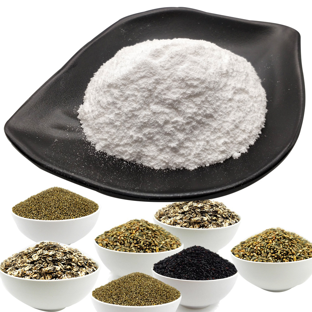 OEM Sport Protein Organic Plant Based Powder Orgain