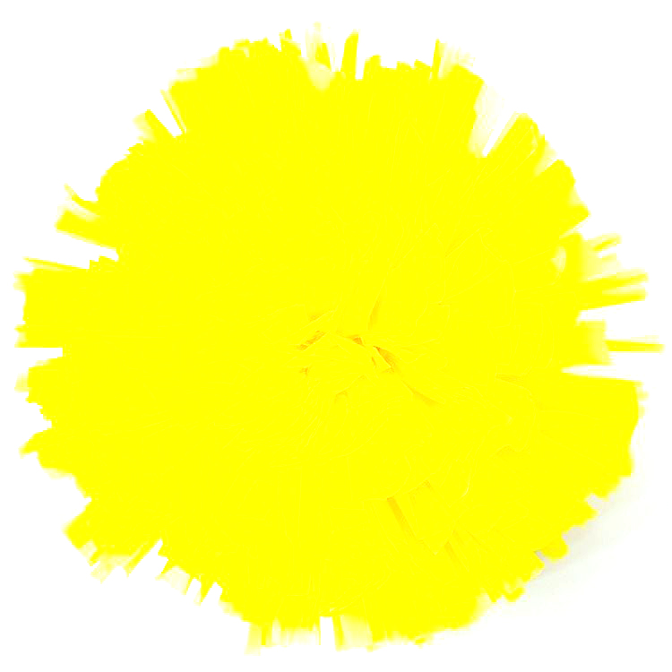 Factory-Made High-Quality Party Decoration Pompom Pompom