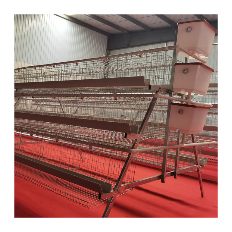 96 bird layer cage hot dip layer battery cage for laying hens