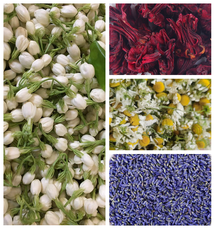 Buy Natural apple flower tea high quality premium Dried Apple Blossom Flowers for tea