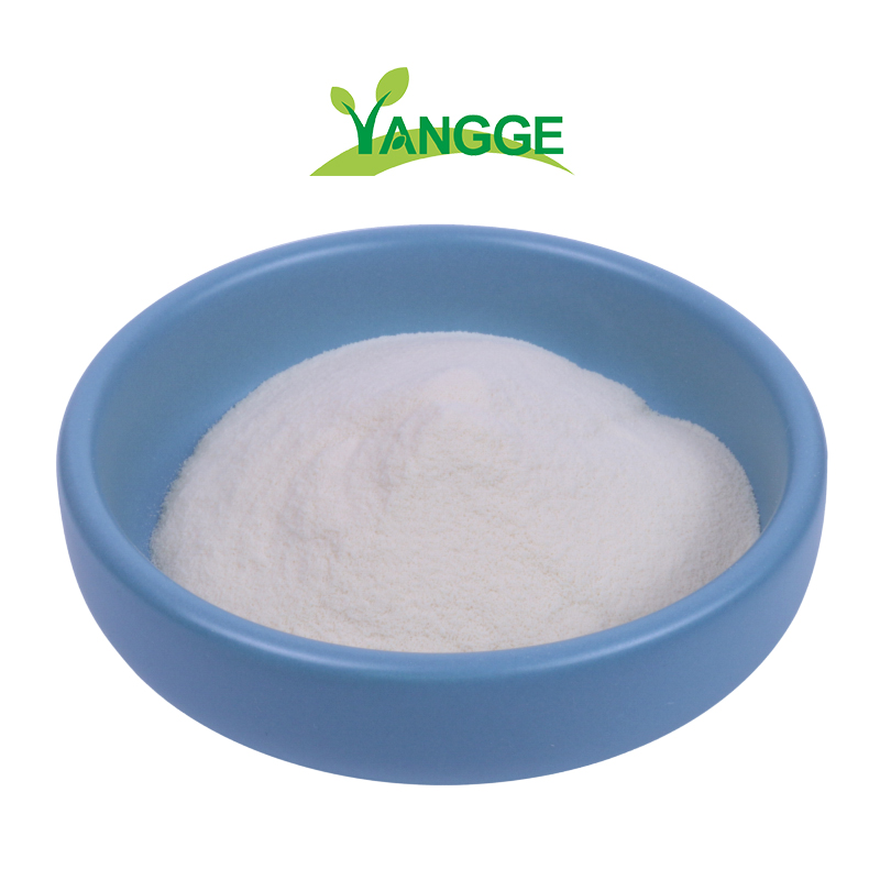 OEM crab shell Chitosan importer Shrimp Shell