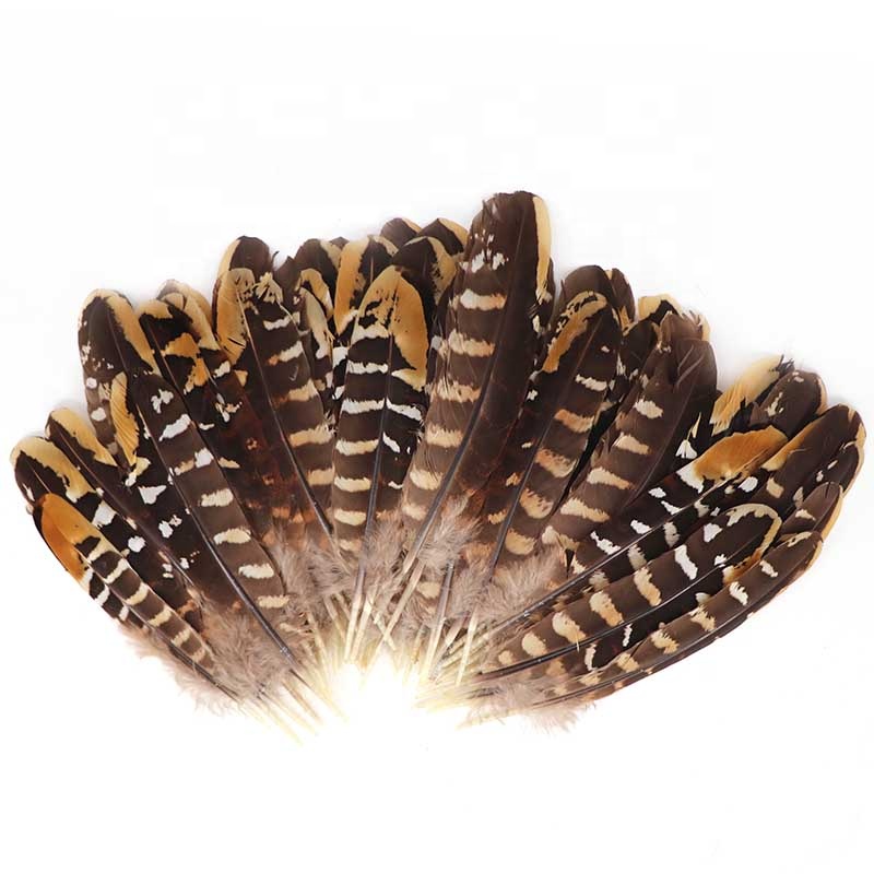6-7.2 Inch(15-18 cm)High Quality Natural Patterned Pheasant Wings Feathers for Dream catcher and mural