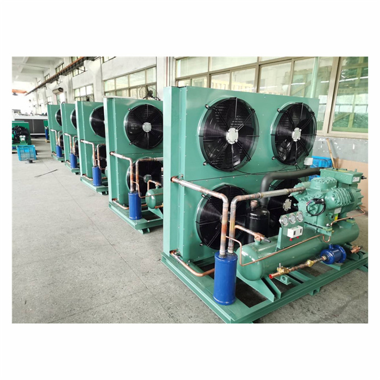 Chinese parts refrigerator compressor bitzer-compressor air cooled Cold Room