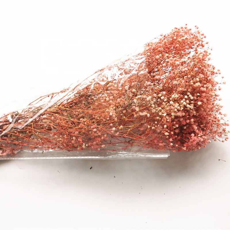 Оптовая продажа, сушеный цветок babysbreath, сохраненный цветок, вечный babysbreath, настоящий и натуральный