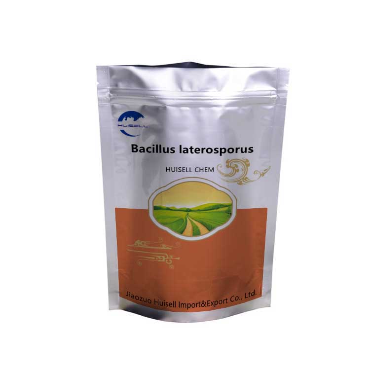 Agricultural Grade Fertilizer Additive Bacillus Laterosporus