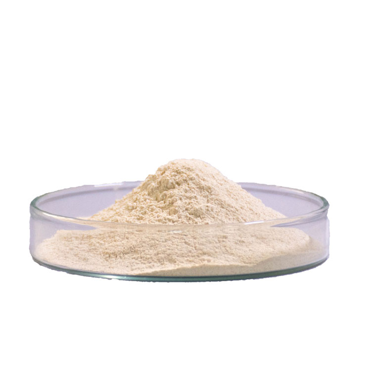 Bacillus Subtilis Powder Form Factory Supply Feed Additives High Quality Guarantee