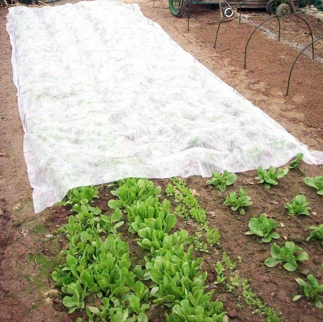 17gsm anti uv polypropylene nonwoven plant frost protection fleece