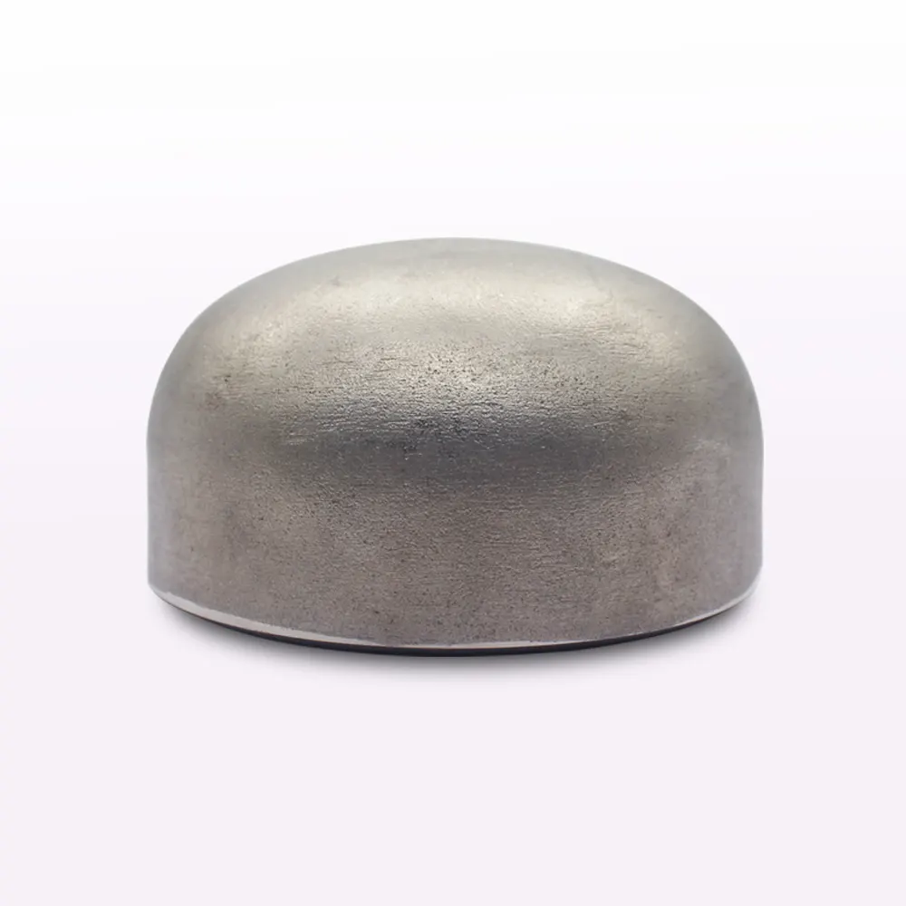 Customizable Stainless Steel Pipe End Cap Fittings for Pipes