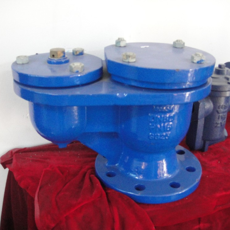 Ductile Iron Flanged Double Orifice Air Release Valve DN80 PN10/16/25 Pressure Professional Manufactured