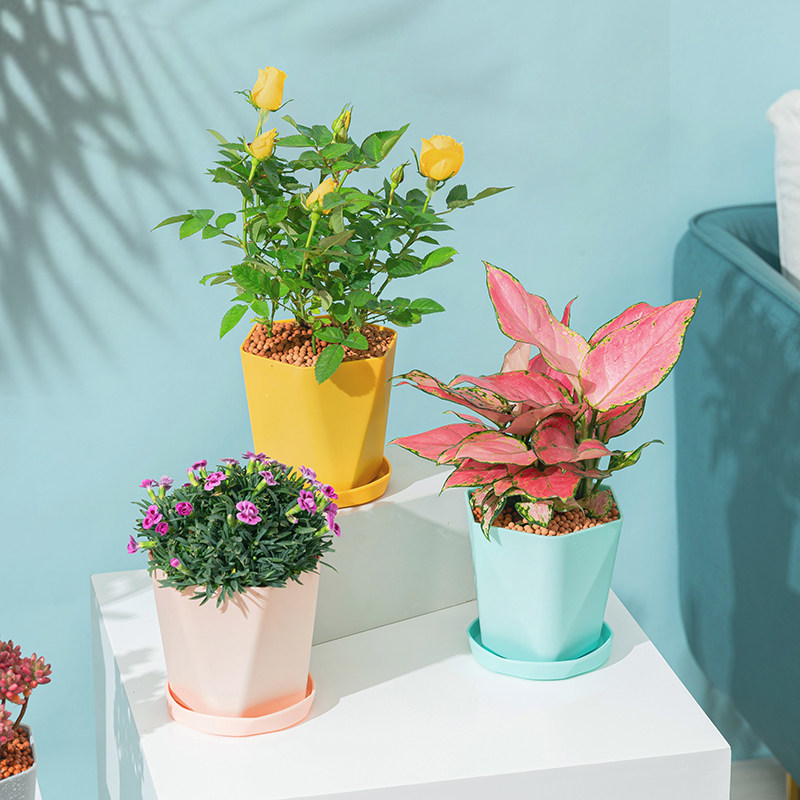 2021 Fiducia Flower Pot Indoor Modern Decorative Plastic Pots for Plants with Drainage Hole and Tray for All House Plants