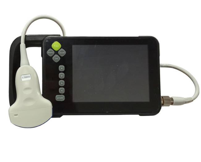 livestock equipment kinds of B ultrasonic machine