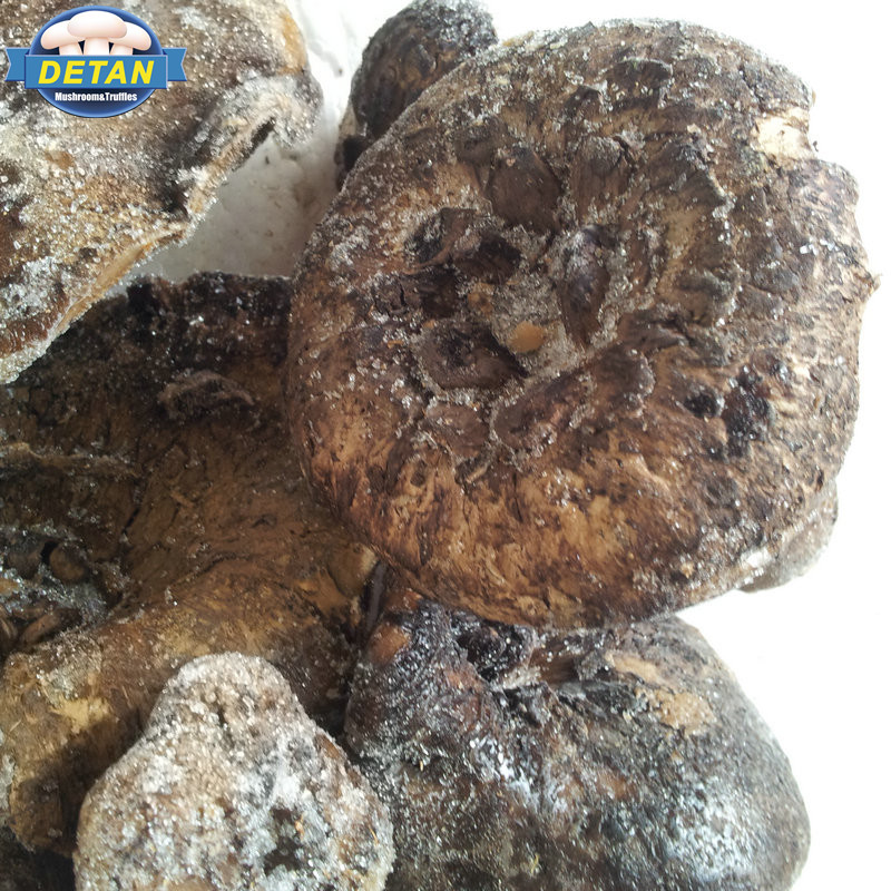 Detan Замороженные дикие черные тигровые пальмовые грибы IQF Shiitake грибы для продажи для HORECA приготовления пищи использования