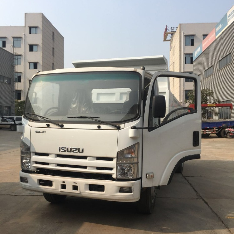 ISUZU 10/20 тонн Самосвал с 4x2 700p самосвал мини для продажи