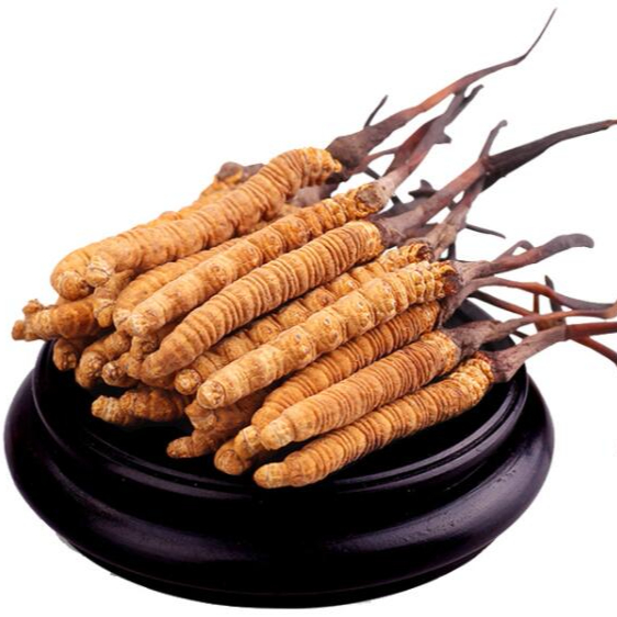 Organic Cordyceps Sinensis Extract mushroom powder
