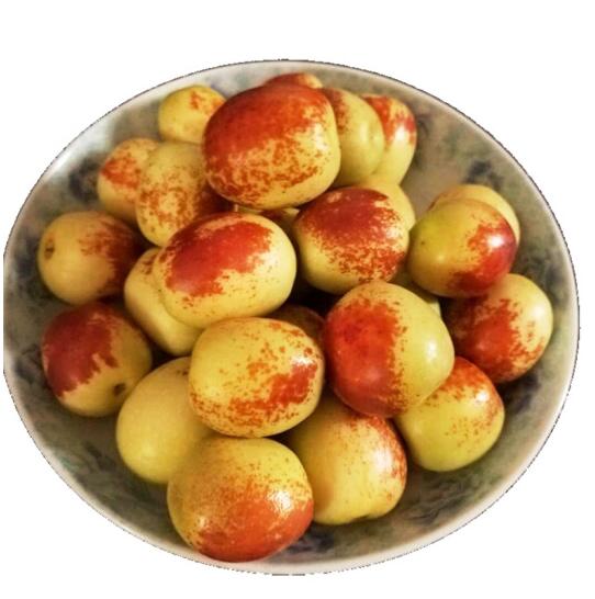 Китайский jujube отличный сорт Свежий зимний jujube