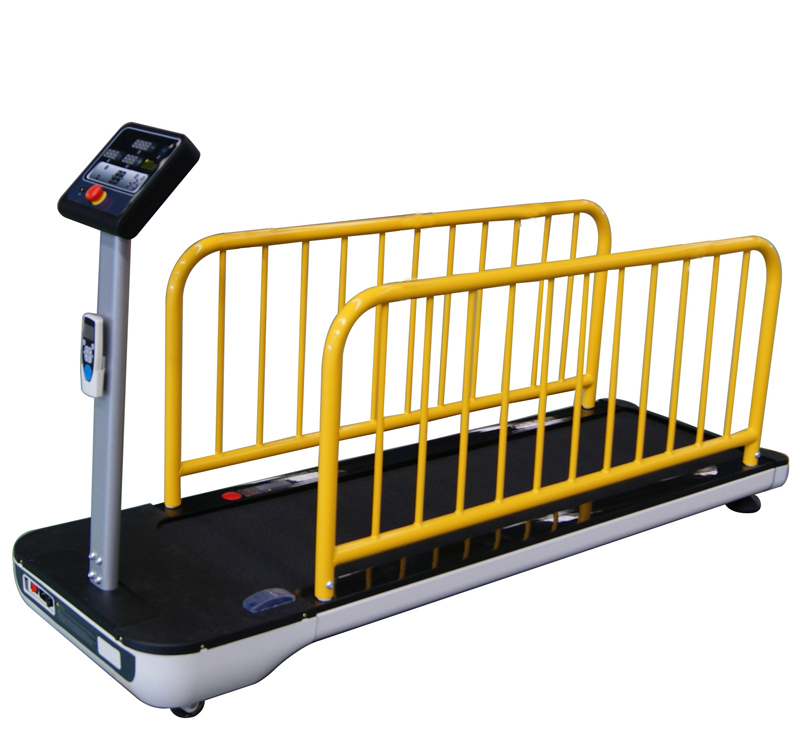 Pets Treadmill Walking Macchine Pets Treadmill for Cats Dogs