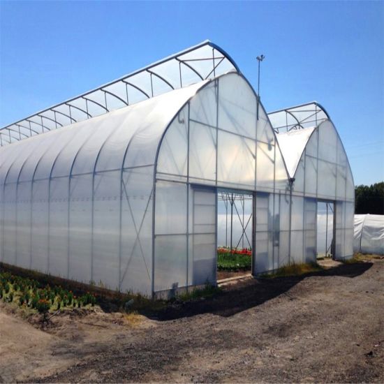 Anti UV Plastic+Shed Poly Film Other Agriculture Single-span hoop greenhouse