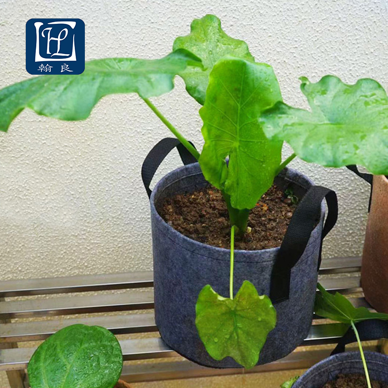 Custom Wholesale Amazon Hot Seller Biodegradable Garden Potato Flower Vegetable Plant Felt Grow Bag