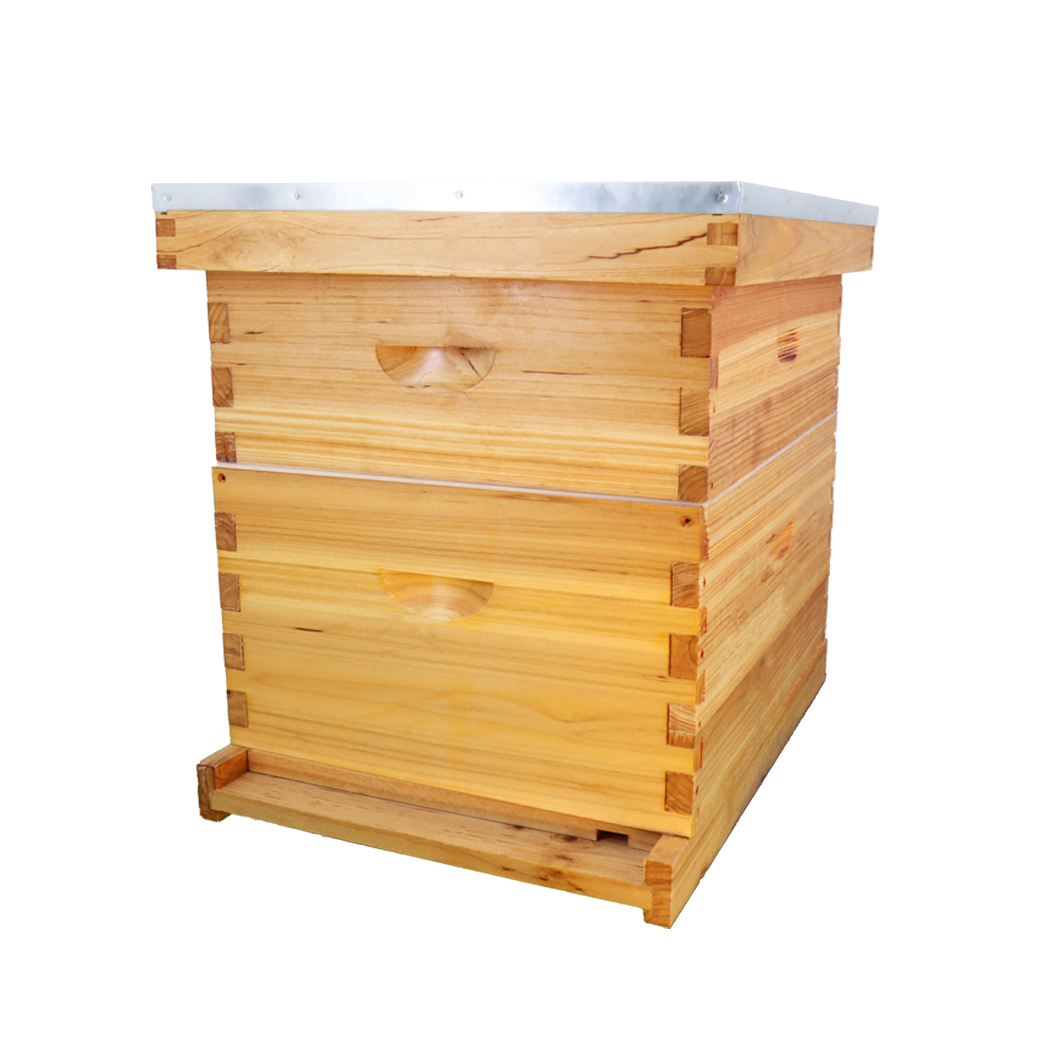High quality other livestock equipment Beeswax beehive langstroth Wooden free beehive 10 hives for sale