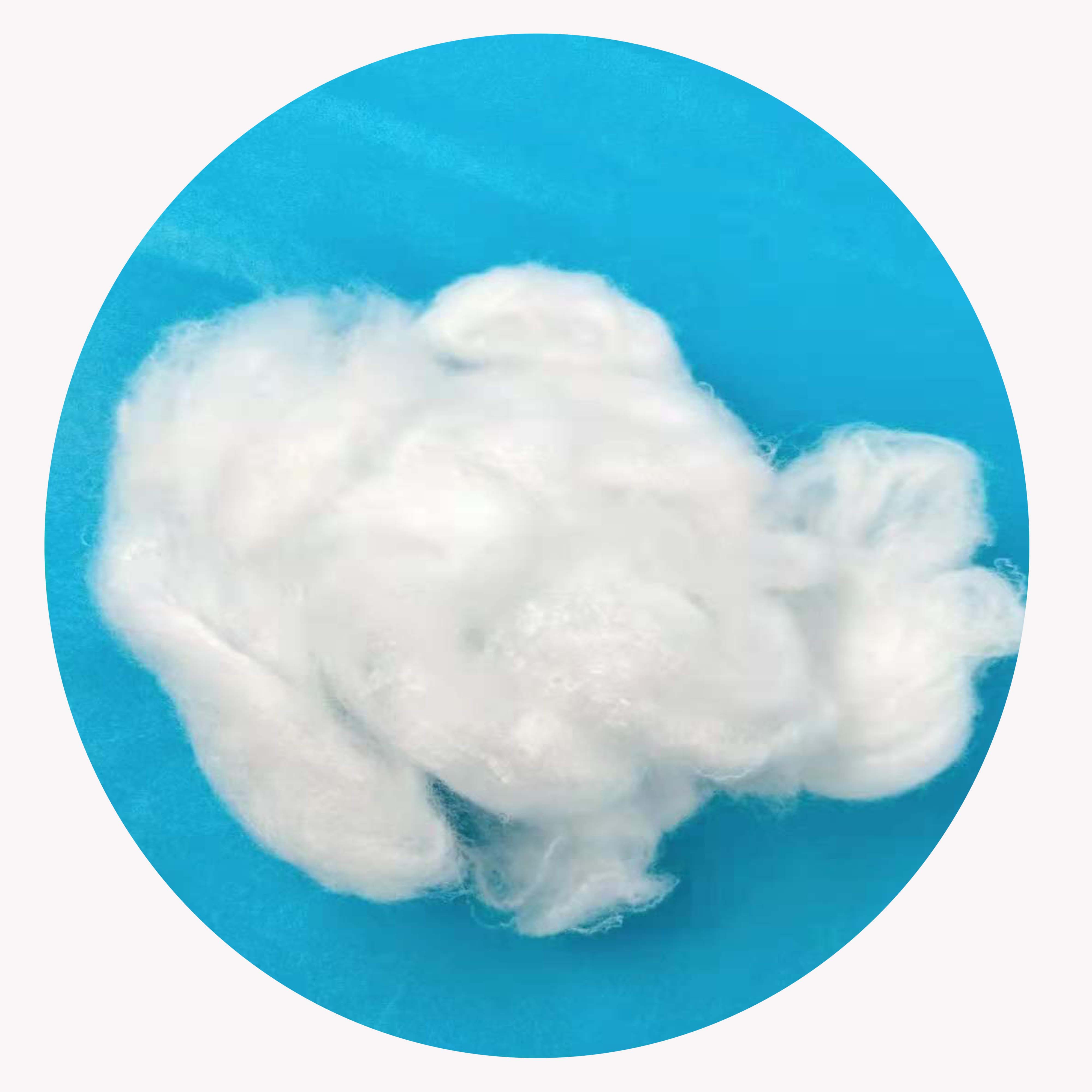 Raw White Polyamid Staple fiber for Weaving