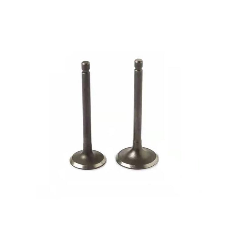 GN125 Motorcycle Engine Valve motorcycle Intake valve exhaust valve motorcycle mushroom valve
