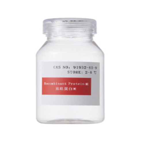Recombinant Proteinase K High Purity Reagents biological enzyme