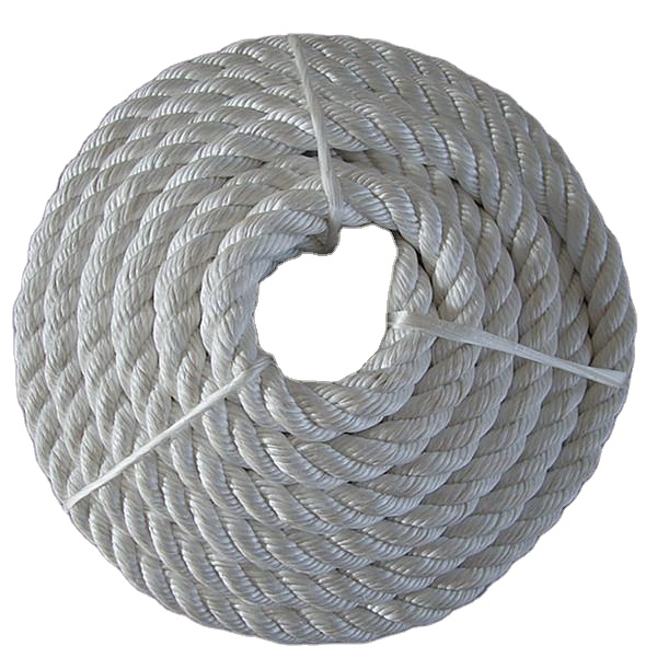 ECO-Friendly economic paper bags nylon rope handle