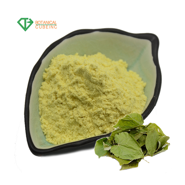 Factory Supply Pure Natural Herbal Extract Epimedium Extract Icariin Powder 98% for Medicine