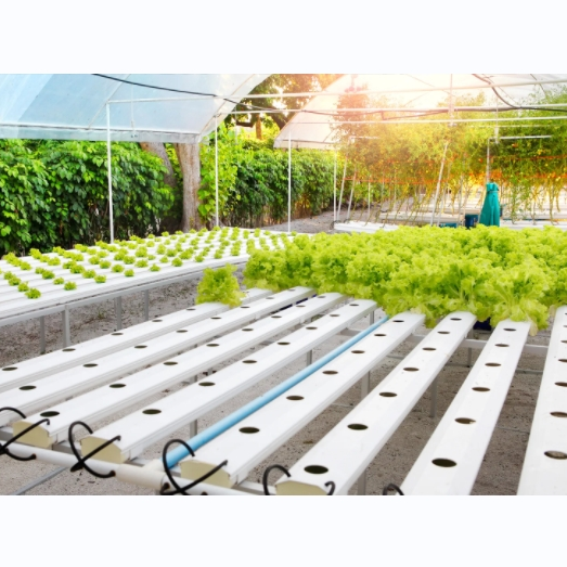 Flat NFT Hydroponic System pvc Square Tubes Grow Channel Soilless Culture for Planting Lettuce Herbs