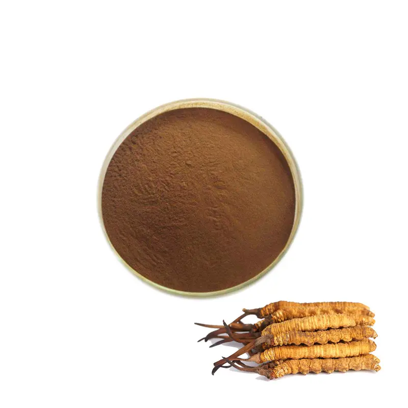 Factory Outlet Bulk Price Cordyceps Militaris Extract Powder Cordycepin