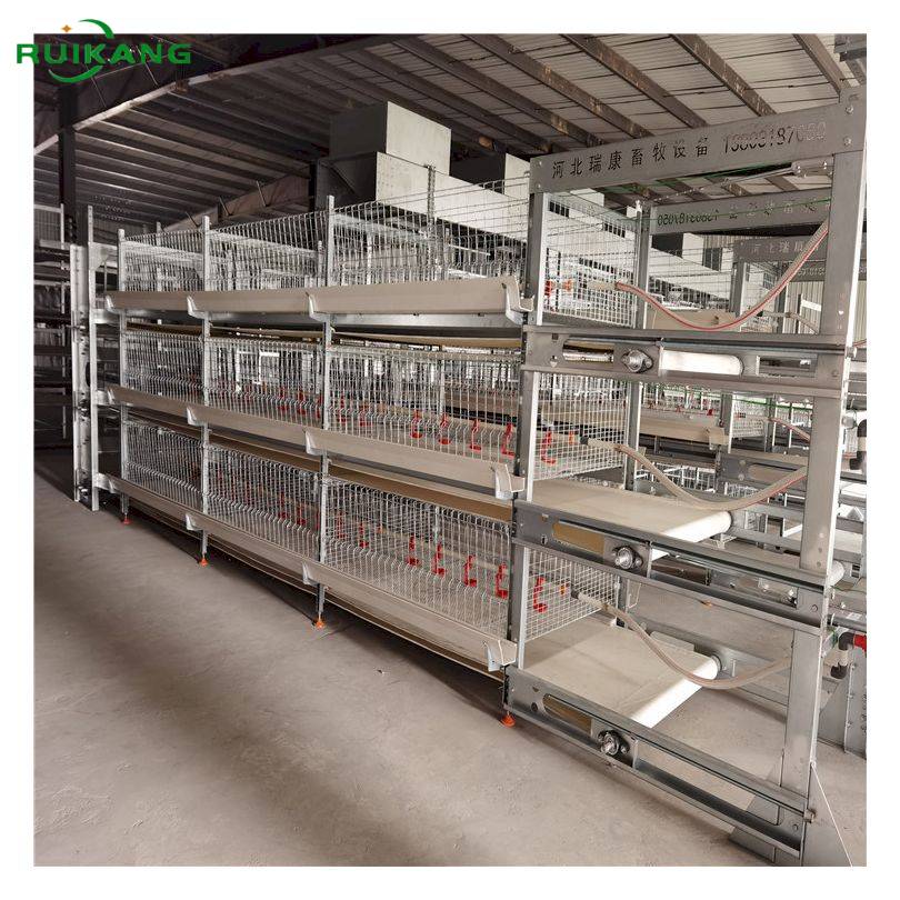 Good sale battery broiler poultry cage broiler chicken cage system