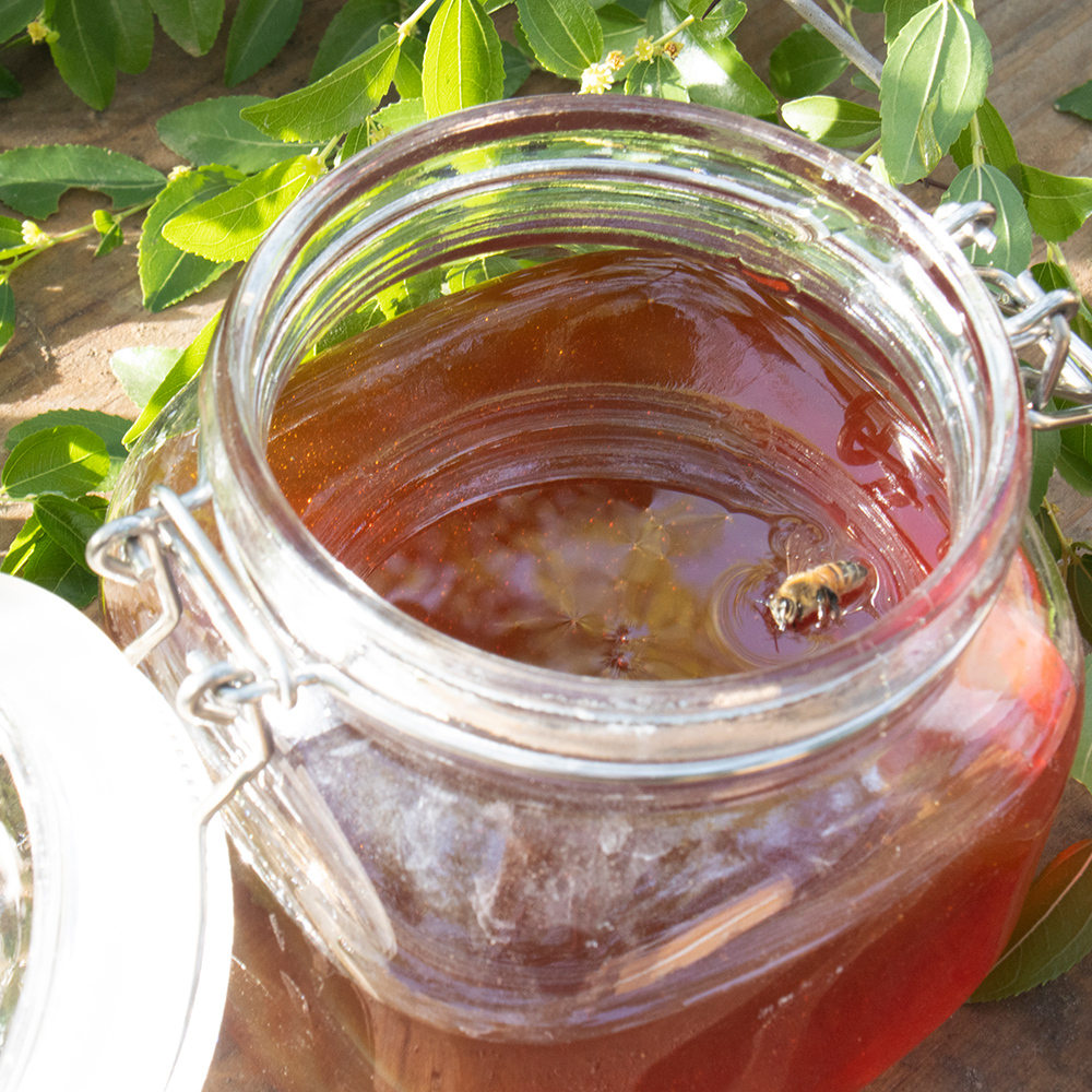 China Pure Honey Factory in Asia