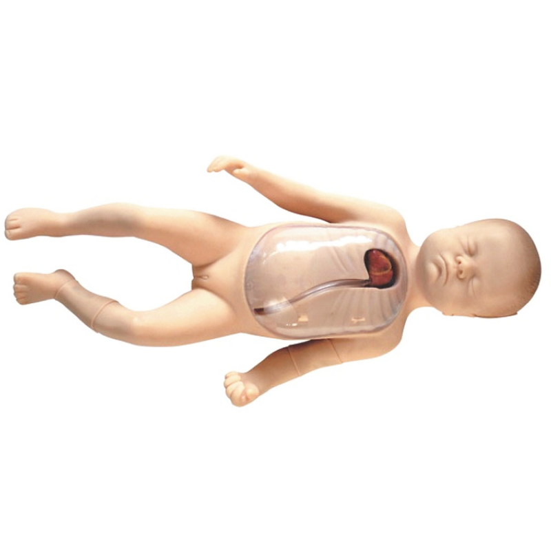 Neonatal peripheral central venous cannulation model