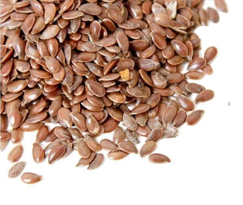 Supply natural whole new havested Linum usitatissimum seeds Flax Seed