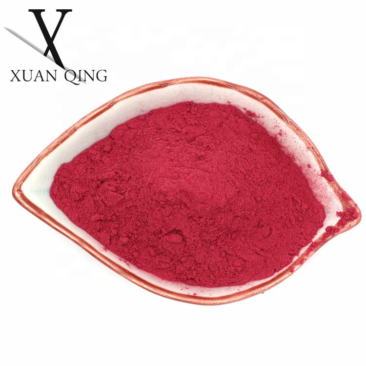 Nature Supplement Made Organic Bulk Fruit Powder Cranberry Extract