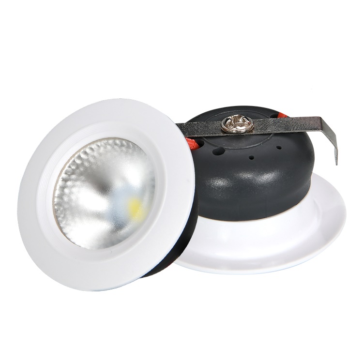 Competitive Price Elegant Design ABS PBT COB Detachable 1Watt Mini LED Down Light