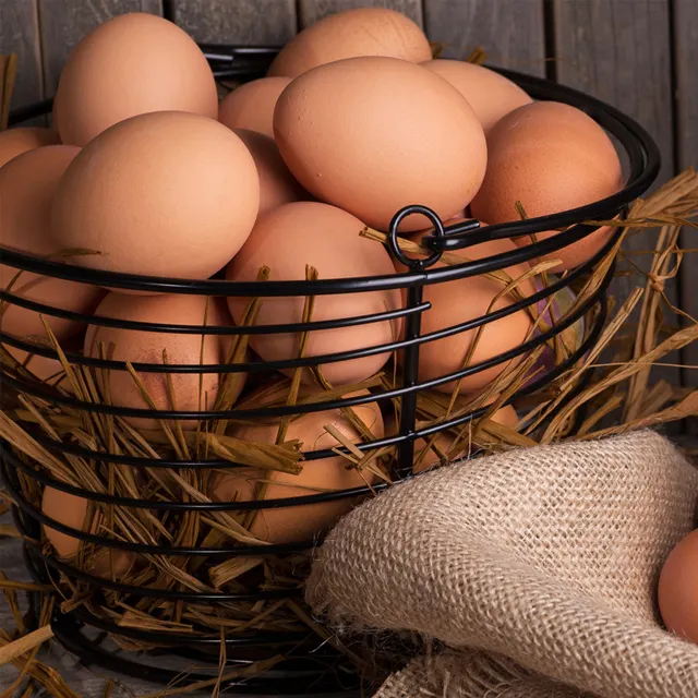 High Quality For SALE FRESH Chicken eggs Farm Chicken Eggs Chicken Egg Suppliers Wholesale