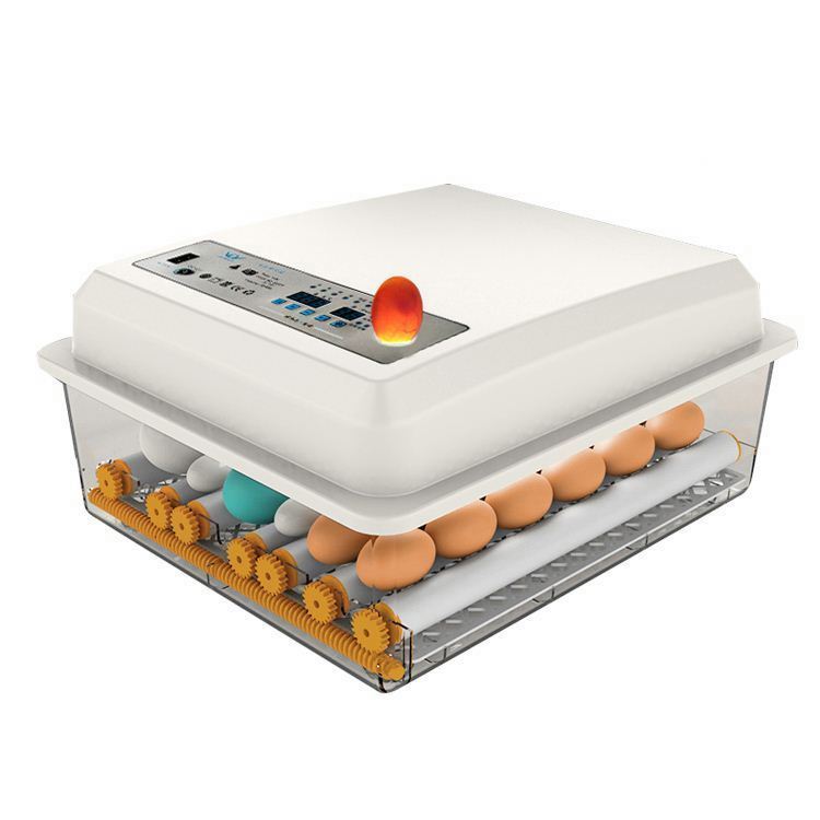 Automatic Farm Egg Incubator Machine with Motorized Precision, Suitable for Duck and Bird Breeding, 50 Egg Capacity