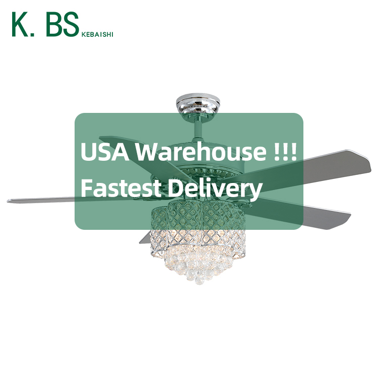 Special Style Iron Remote Control Decorative Home Restaurant Led Ceiling Fan Light